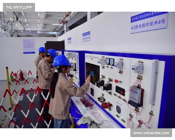 如何实现双向奔赴帕利尼亚冬窗加盟愿望各方合作与操作路径解析