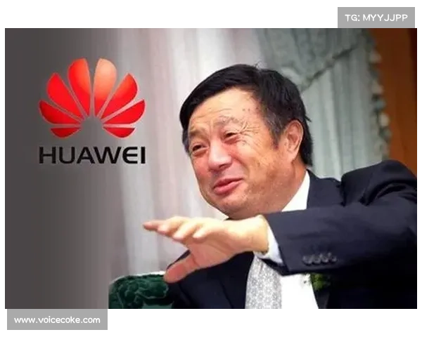 展现卓越职业精神的库普梅纳斯：从挑战到辉煌的奋斗历程解析