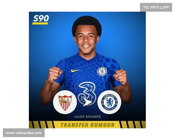 帕利尼亚冬窗转会期目标分析：五大关键要点解析